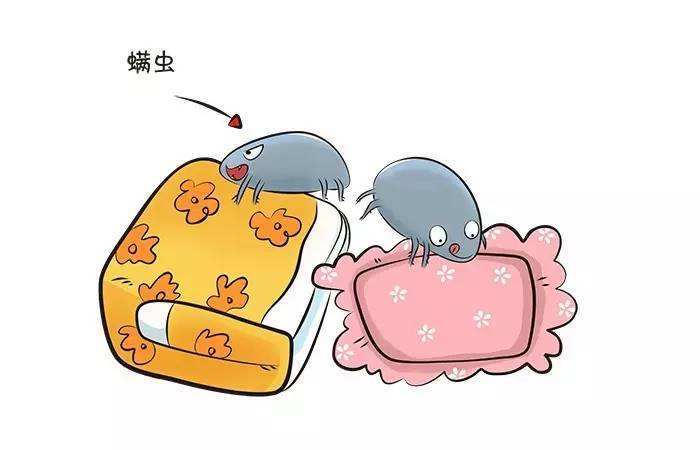 除螨行動大作戰 把螨蟲趕出你的被窩