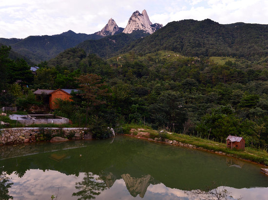 頂門頂戶頂梁柱，功名利祿靠此處！不看后悔！