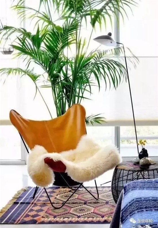 臥室綠植營造清新空間！