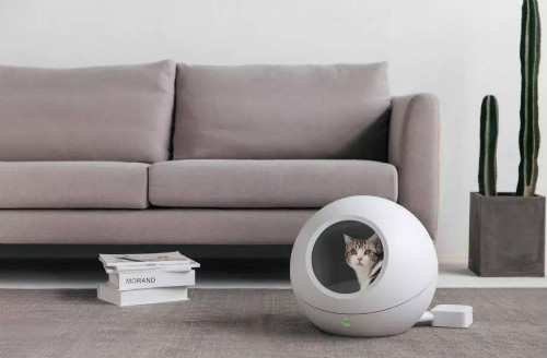 寵物經濟影響小家電行業時代已經到來