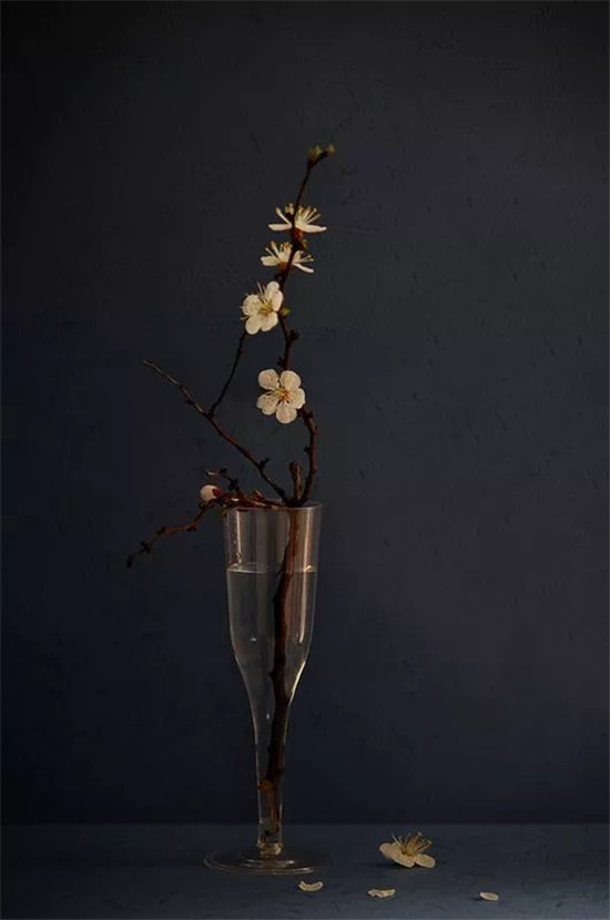 用花藝“點睛”你的房子