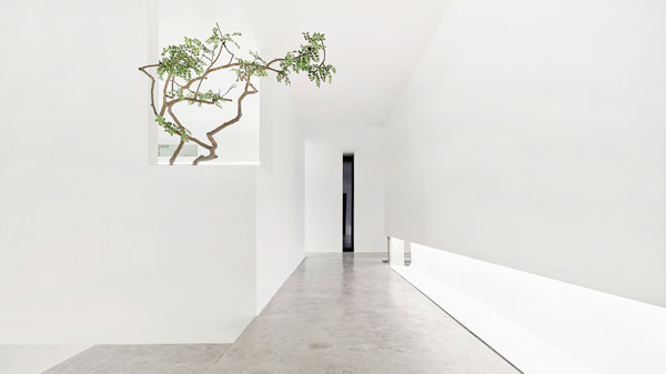 設(shè)計(jì)空間的留白,綠植的存在更顯空曠與天地寬廣