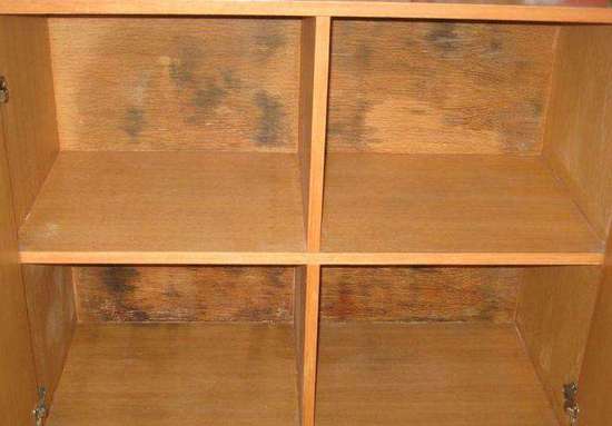 衣柜發(fā)霉怎么處理?一學就會