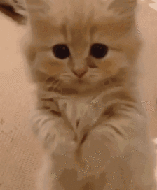 空氣不佳讓你無處可逃？有了它在家永遠如沐春風(fēng)