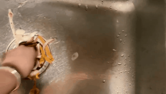 廚房垃圾處理器怎么選 雙十一剁手這些攻略要掌握