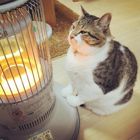 東北人過冬是認真的 為保暖竟用塑料膜當墻擋風